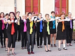 P1100898.jpg