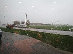 IMG_2107.jpg