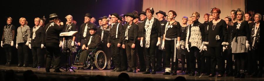 IMG_9512.1.jpg