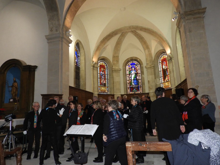DSCN7826.jpg