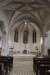 IMG_5230.jpg