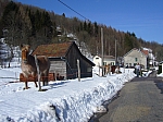 P1060177.JPG