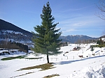 P1060203.JPG
