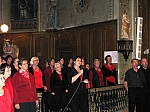 IMG_2491.JPG IMG_2491.JPG